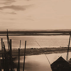 photo "In the ebb tide ....."