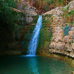 photo "Ein-gedi"