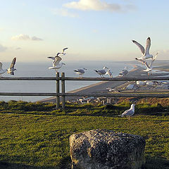 photo "A meeting on a decline of day."