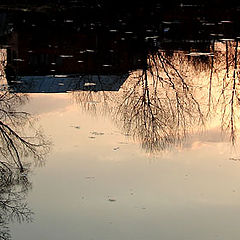 photo "Sunset in the water."