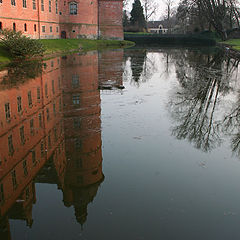 photo "Reflection"