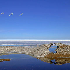 photo "The ice on Lake Ladoga"