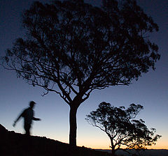 photo "End of the day"