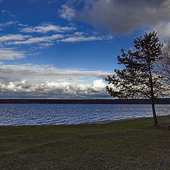 photo "Melancholy"