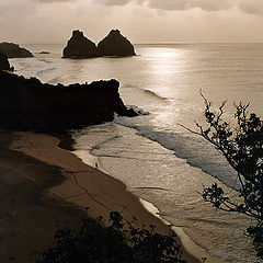 фотоальбом "Fernando de Noronha Isle"