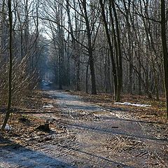 photo "Season of soggy roads"