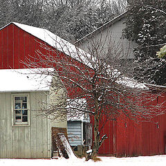 photo "Red Barn"