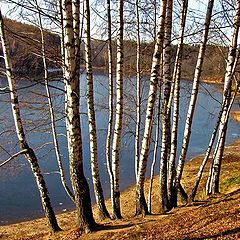 фото "Поздняя осень"