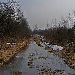 фото "Весна, Апрель, Вечер.."