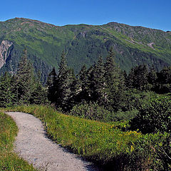 photo "Ascending Mountain Path"