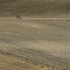 photo "Forward we must go (even against to wind)"