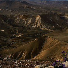 фото "good morning Negev"