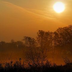 photo "a misty sunrise"