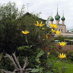 фото "В Ростове."