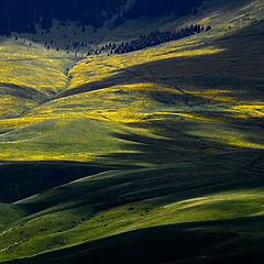 photo "Clouds on the Alpine meadow"