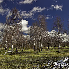 photo "Easter snow"