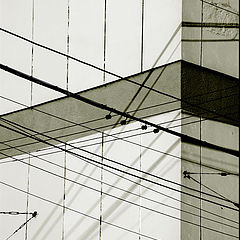 photo "Electric shading"