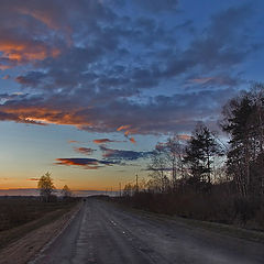 фото "По дороге домой"