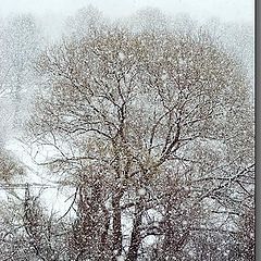 фото "Апрельский снегопад"