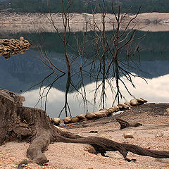 photo "Barrage of Vilarinho of Furnas"