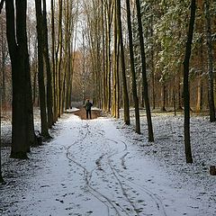 фото "Весенний снег"