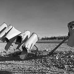 photo "the death in a desert"