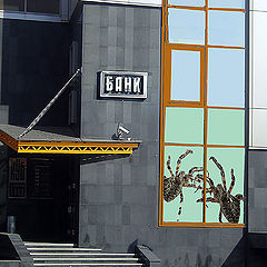 photo "Spiders in bank"