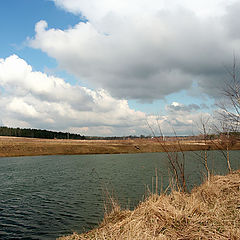 фото "Country landscape..."