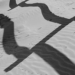 photo "Sand  Fence."