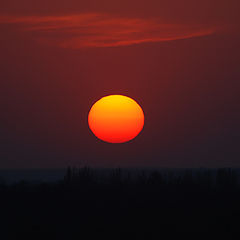 photo "Good night..."