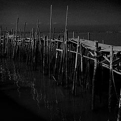 photo "wharf scenes #3"