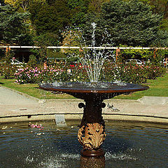 photo "Fountain"