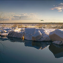 фото "Символы весны"