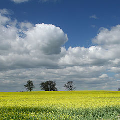 фото "spring"