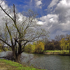 фото "Прелюдия ..."