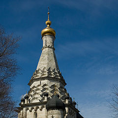 фото "Красавица."