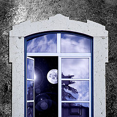 photo "Half Window"