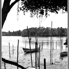 фото "Old boats"