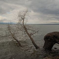 фото "Плещеево озеро"