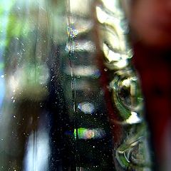 photo "portrait through a bottle"