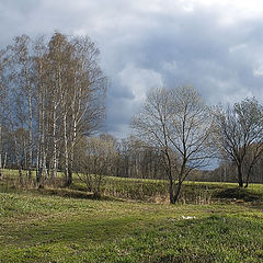 photo "April sketches. The road."