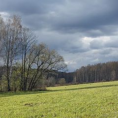 фото "Апрельские зарисовки"