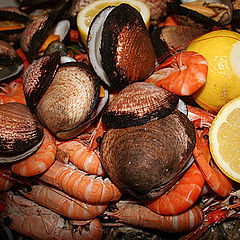 фото "Fruits de mer"