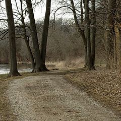 photo "The Driveway"