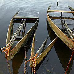 photo "Prisioners of the lake"