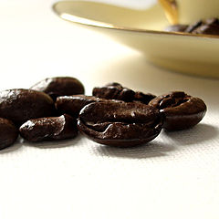 photo "Coffee. Chocolate."