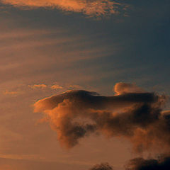 photo "The Celestial landlady or supper, please!"