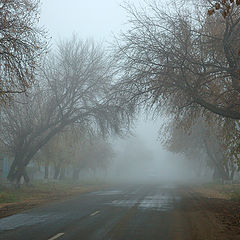 photo "Wet asphalt"