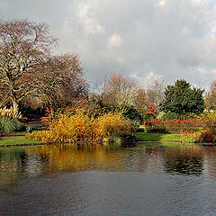 фото "Nature Pond"