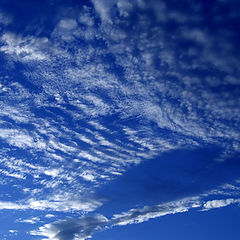 фото "blue sky"